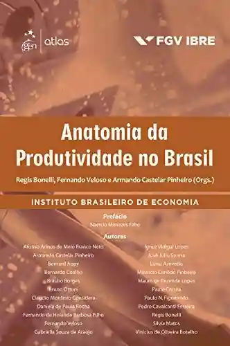 Livro PDF: Anatomia da Produtividade no Brasil