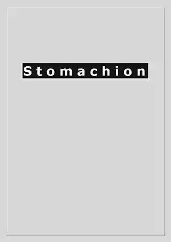 Livro PDF: Stomachion: A new approach to enhancing fairness. (Portuguese version )