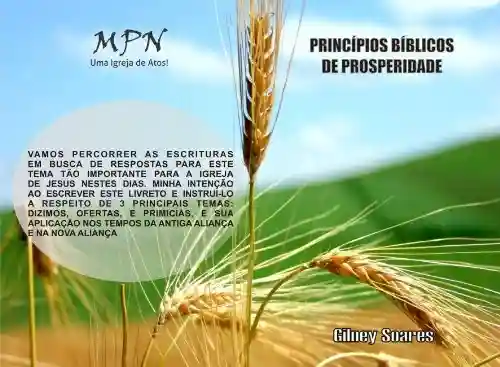Livro PDF: Princípios Bíblicos de Prosperidade